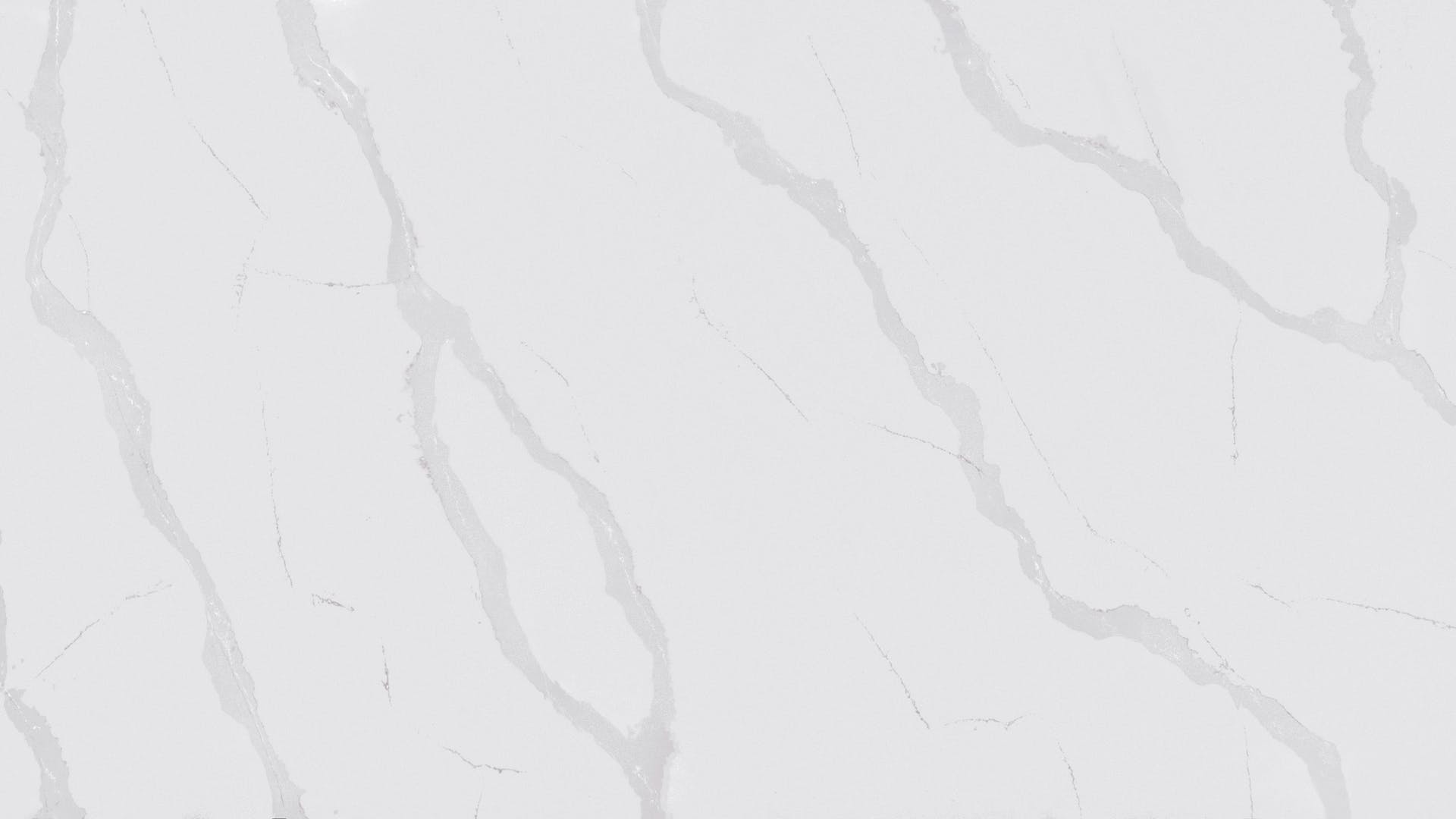 Classic Calacatta